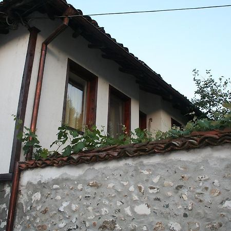 Hotel Todorova House Złatograd Zewnętrze zdjęcie