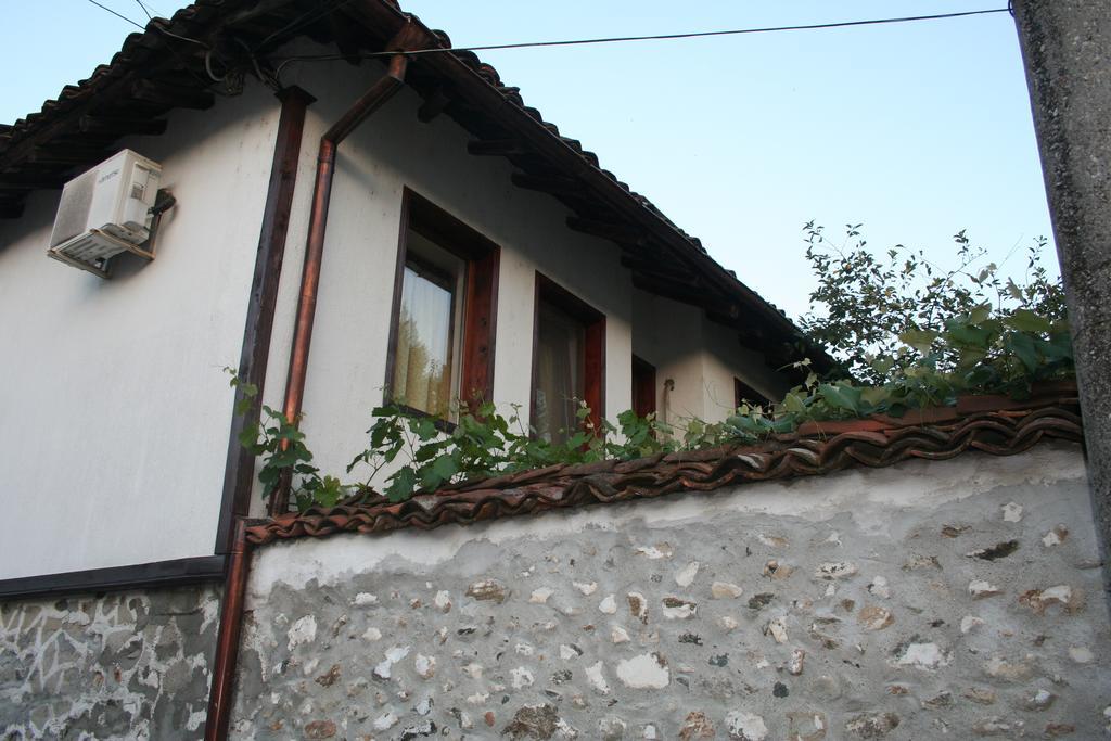 Hotel Todorova House Złatograd Zewnętrze zdjęcie